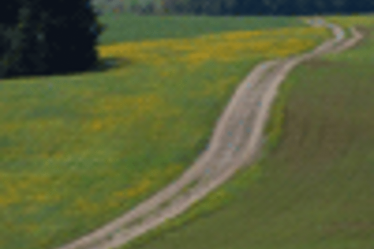 Kategorie-Bild Aktiv-Regionen